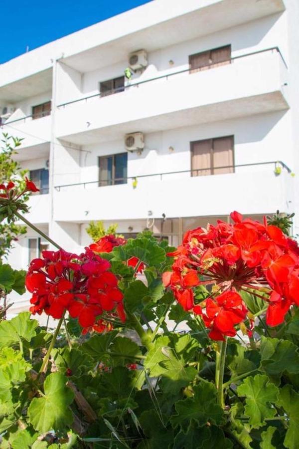 פליראקי Nikos Bnb מראה חיצוני תמונה